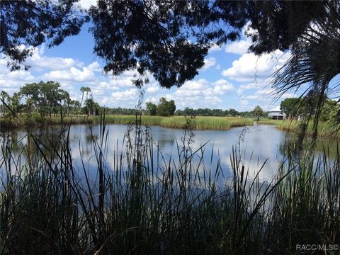 A home in Crystal River