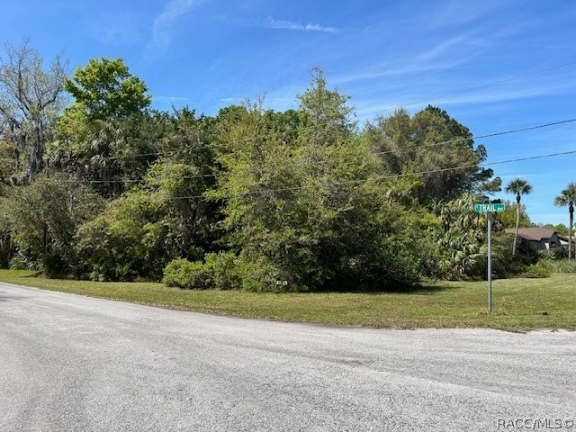 4816 S Trail Way, Homosassa, Florida image 3