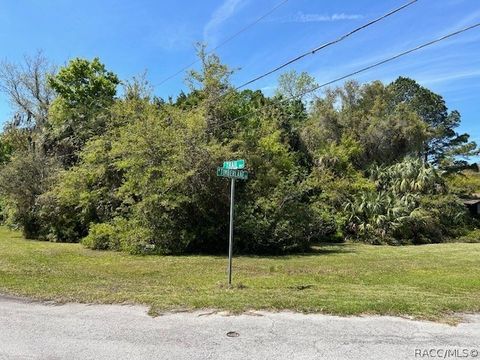 Vacant Land For Sale - 4816 S Trail Way<br/> Homosassa, FL 34448