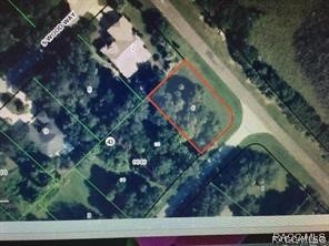 4816 S Trail Way, Homosassa, Florida image 2