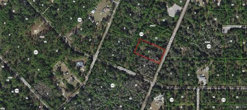 Vacant Land For Sale - 9296 N Black Oak Way<br/> Crystal River, FL 34428