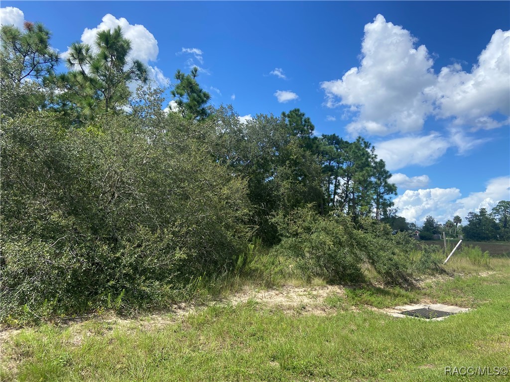 5137 W Homosassa Trail, Lecanto, Florida image 2