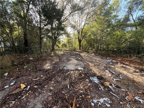 Vacant Land For Sale - 6765 N Carl G Rose Highway<br/> Hernando, FL 34442