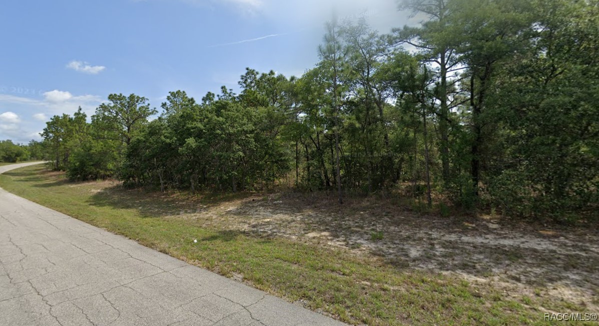 6686 N Bedstrow Boulevard, Dunnellon, Florida image 2