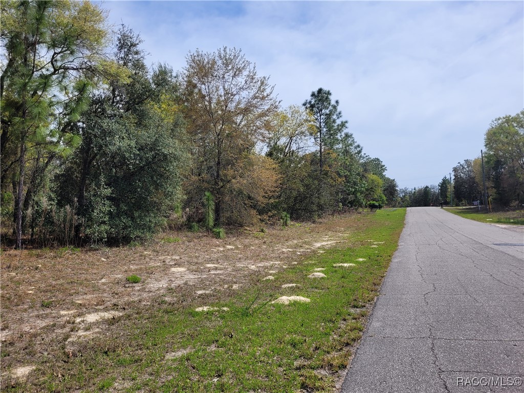 6686 N Bedstrow Boulevard, Dunnellon, Florida image 5