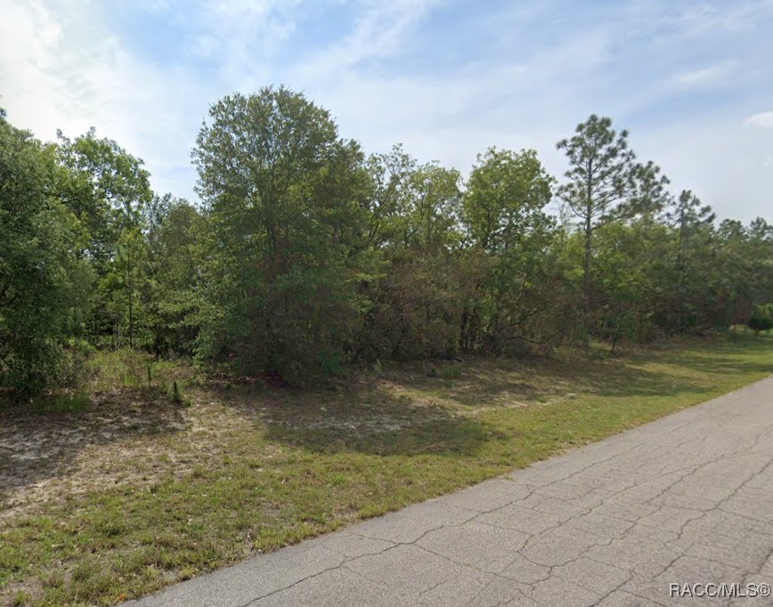 6686 N Bedstrow Boulevard, Dunnellon, Florida image 1