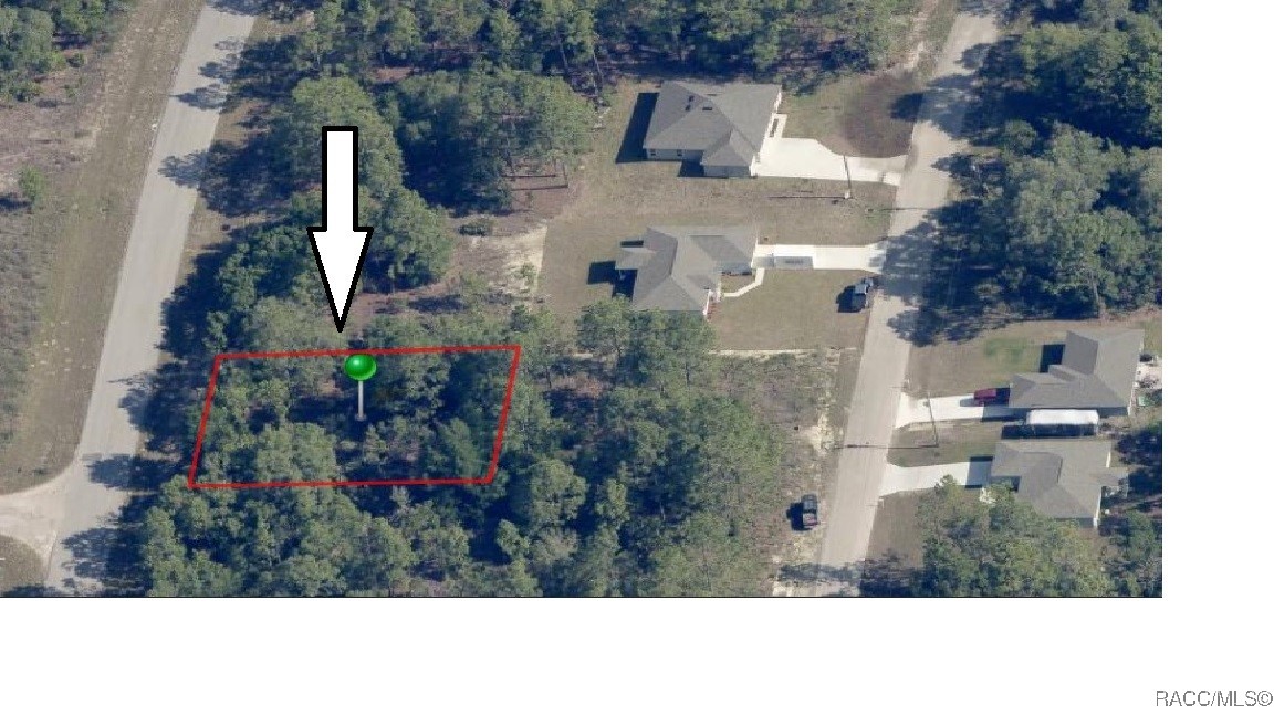 6686 N Bedstrow Boulevard, Dunnellon, Florida image 3