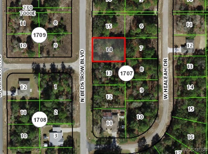 6686 N Bedstrow Boulevard, Dunnellon, Florida image 4