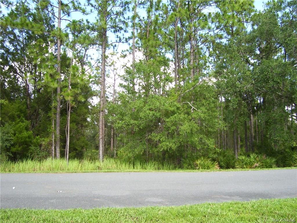 7903 S Suncoast Boulevard, Homosassa, Florida image 1