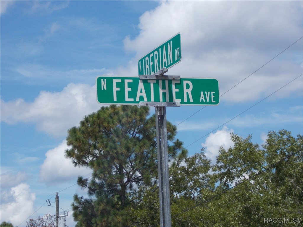 Citrus Springs, Florida 34434, United States, ,Land,Active,196100