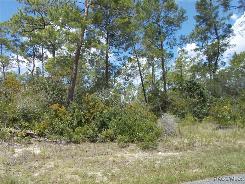 Citrus Springs, Florida 34434, United States, ,Land,Active,196100