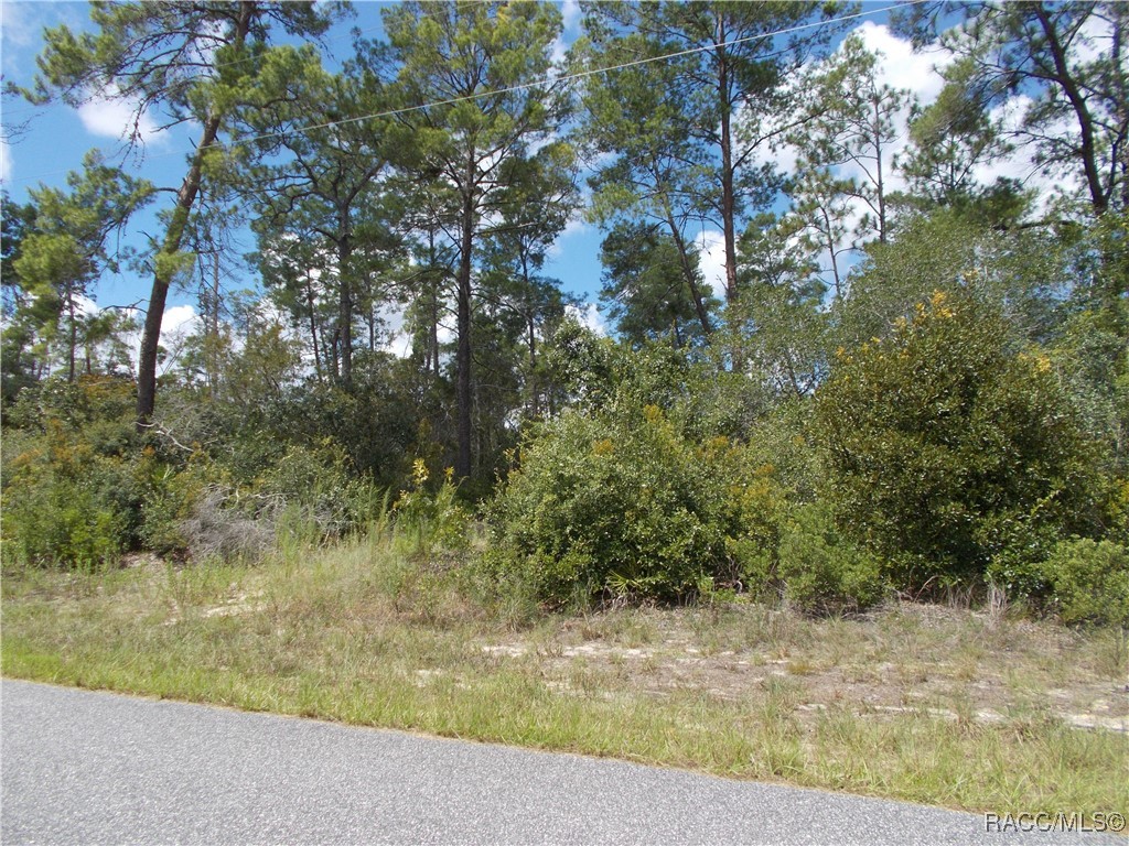 Citrus Springs, Florida 34434, United States, ,Land,Active,196100