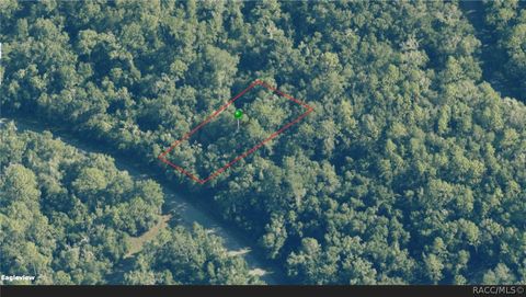 Vacant Land For Sale - 8253 N Alameda Drive<br/> Dunnellon, FL 34434