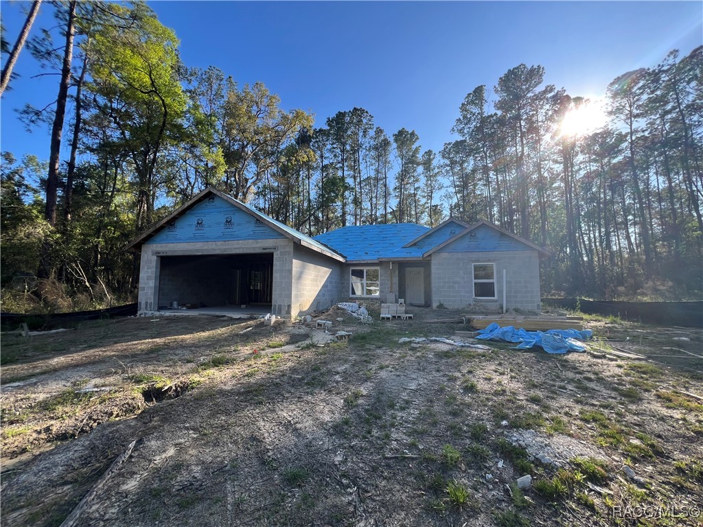 9962 N Athenia Drive, Citrus Springs, Florida image 2