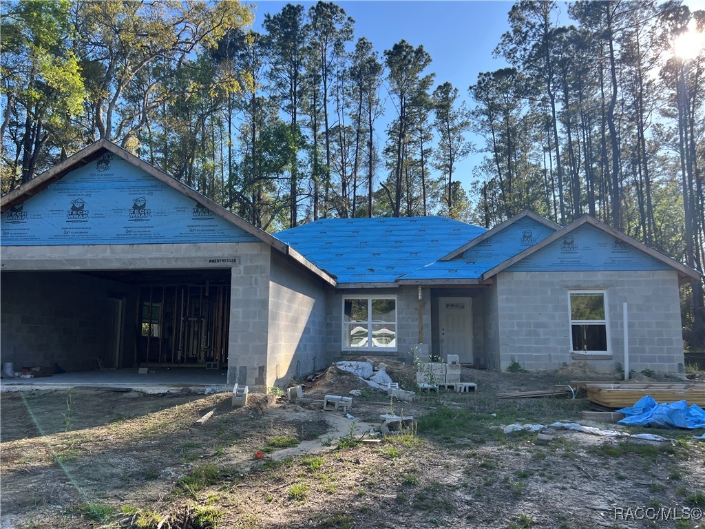 9962 N Athenia Drive, Citrus Springs, Florida image 1
