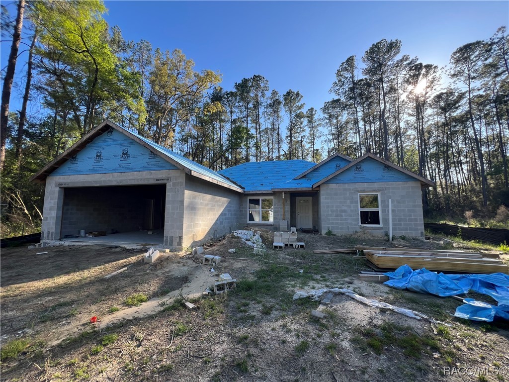 9962 N Athenia Drive, Citrus Springs, Florida image 3