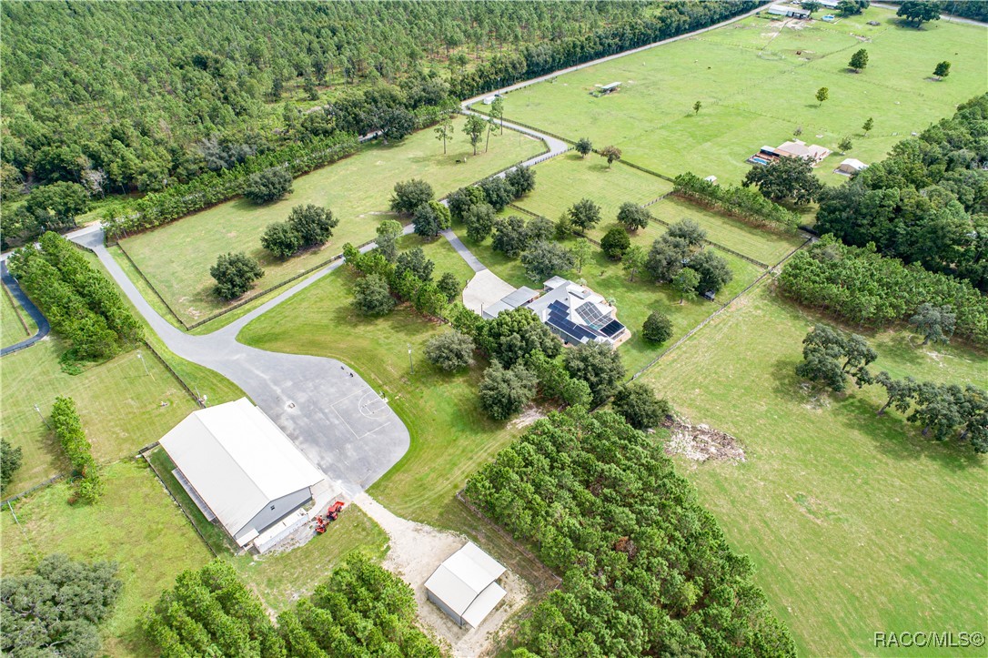 1400 W Cason Court, Lecanto, Florida image 8