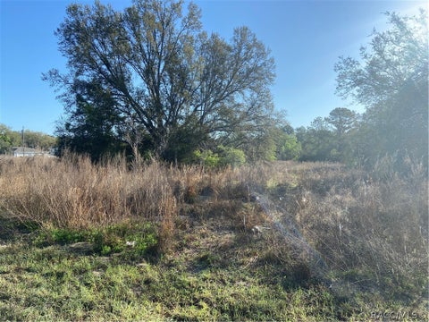 Vacant Land For Sale - 7748 7762 7784 7796 Manville Road<br/> Dunnellon, FL 34434