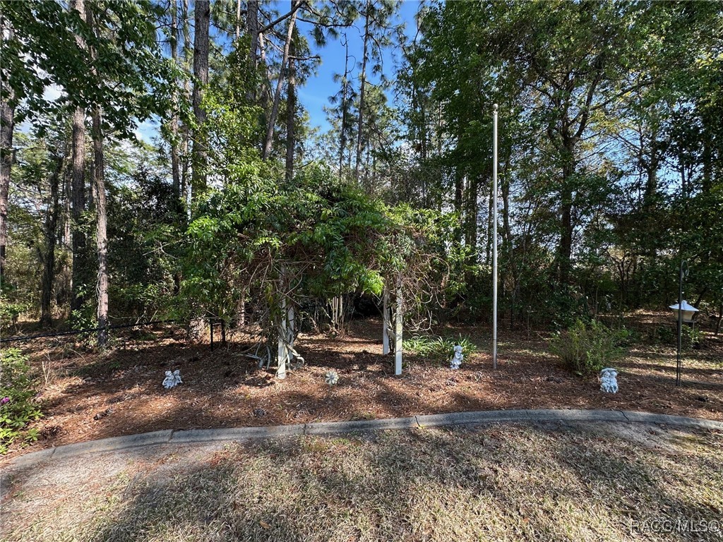 833 N Lafayette Way, Inverness, Florida image 27
