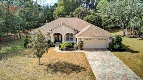 A home in Homosassa