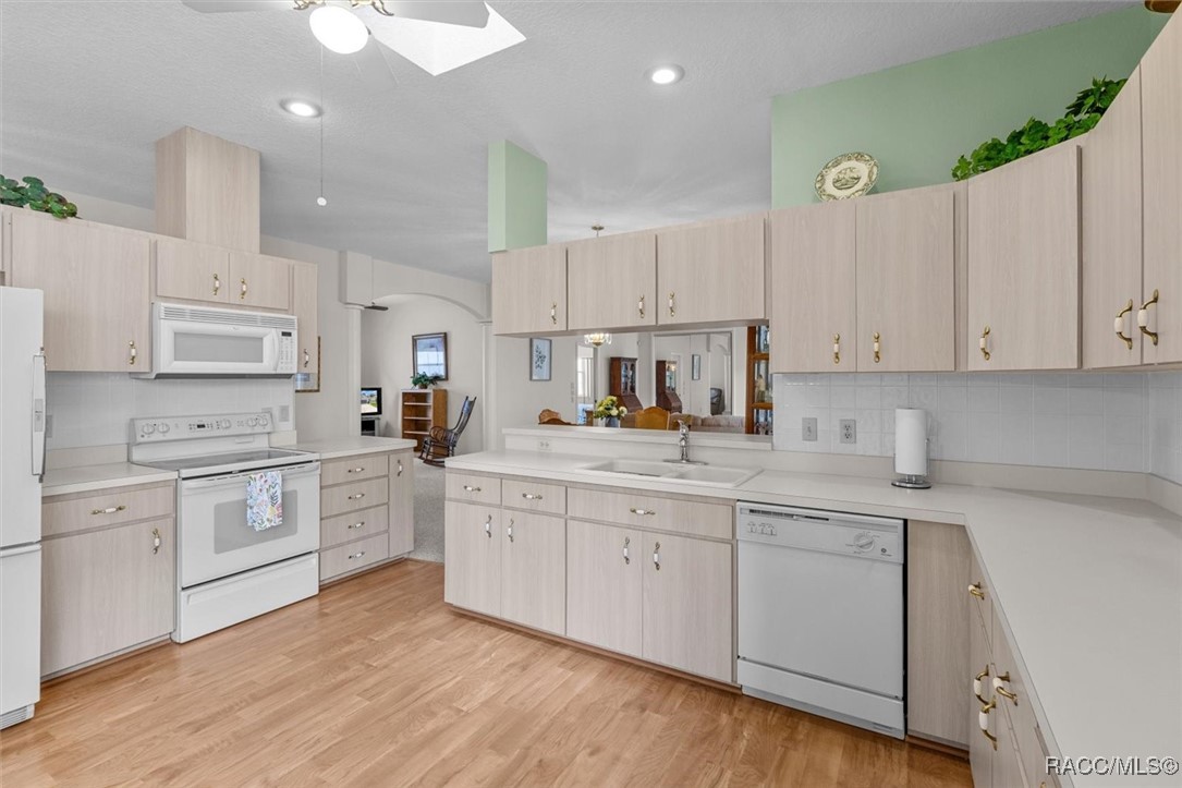 3529 S Belgrave Drive, Inverness, Florida image 19