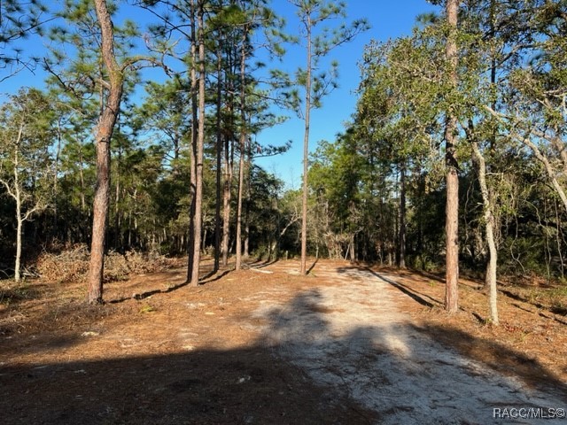 6515 & 6531 S Premiere Avenue, Homosassa, New York image 19