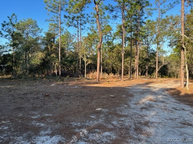 6515 & 6531 S Premiere Avenue, Homosassa, New York image 17