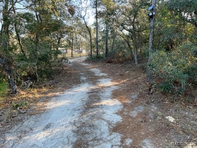 6515 & 6531 S Premiere Avenue, Homosassa, New York image 6