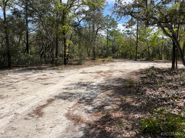 6515 & 6531 S Premiere Avenue, Homosassa, New York image 9
