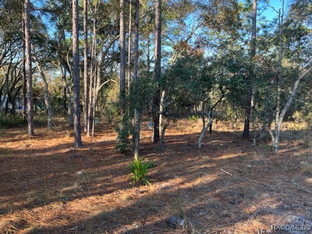 6515 & 6531 S Premiere Avenue, Homosassa, New York image 18