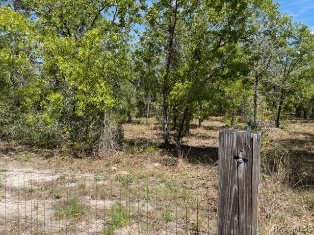 6515 & 6531 S Premiere Avenue, Homosassa, New York image 23