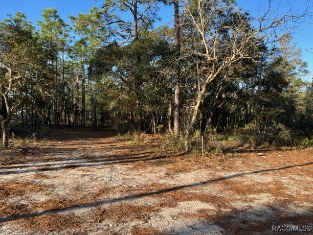 6515 & 6531 S Premiere Avenue, Homosassa, New York image 16