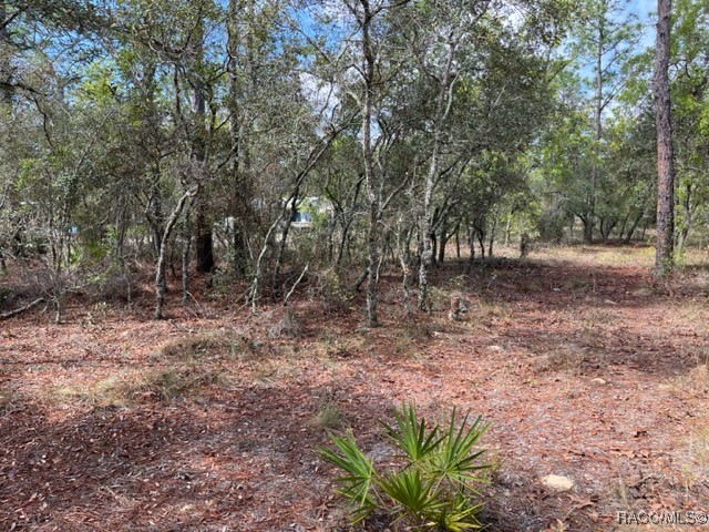 6515 & 6531 S Premiere Avenue, Homosassa, New York image 11