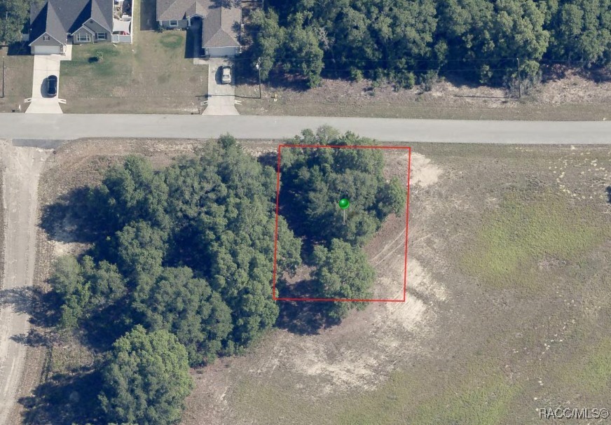 1542 W Belen Drive, Dunnellon, Florida image 4