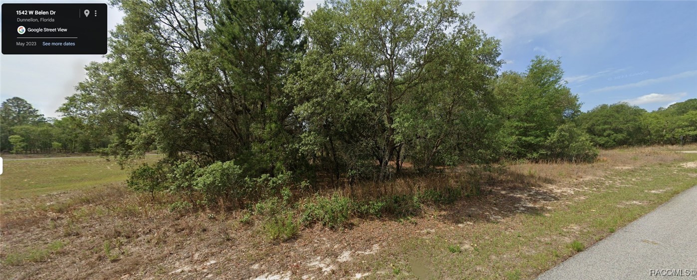 1542 W Belen Drive, Dunnellon, Florida image 1
