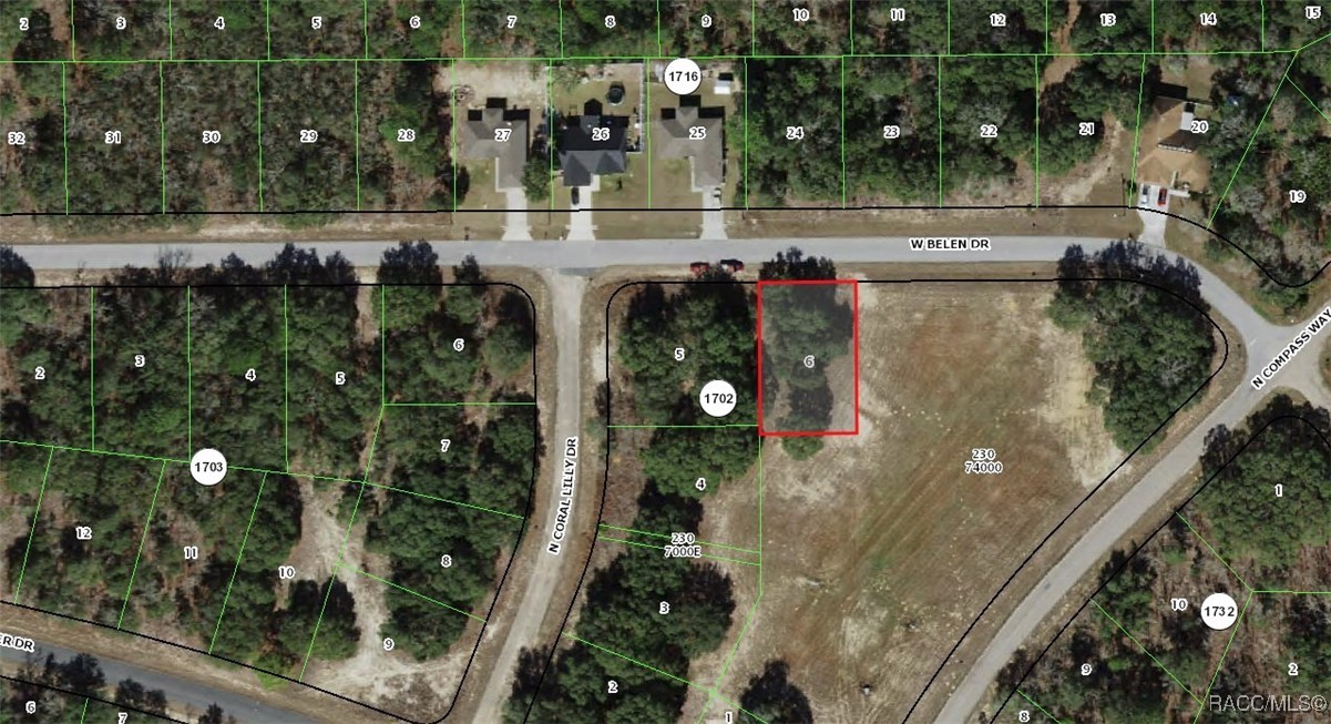 1542 W Belen Drive, Dunnellon, Florida image 3