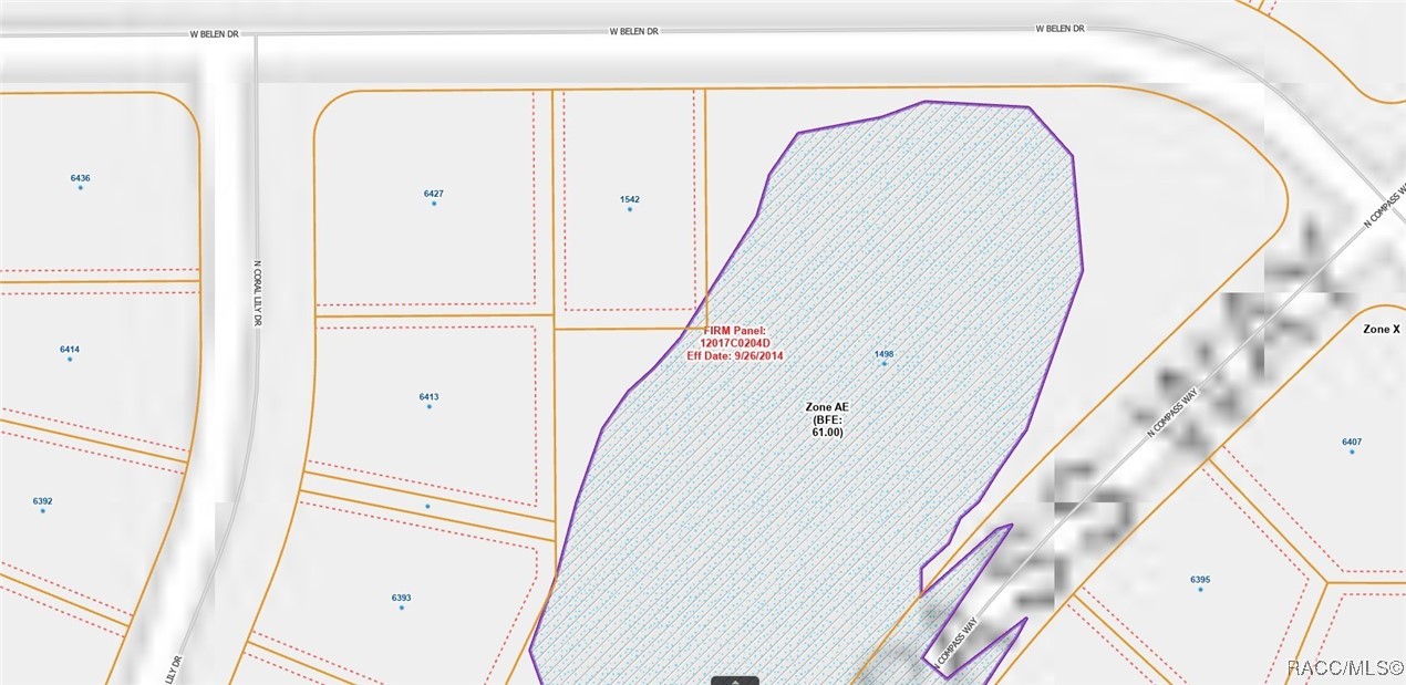 1542 W Belen Drive, Dunnellon, Florida image 7