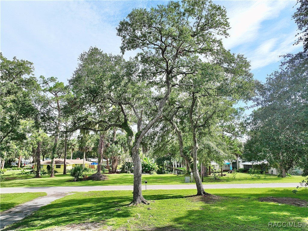 6708 Riverside Drive, Yankeetown, Florida image 31