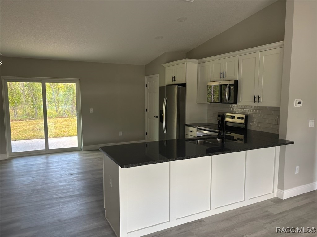 2123 W Riley Drive, Citrus Springs, New York image 11