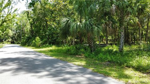 A home in Homosassa