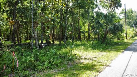 A home in Homosassa