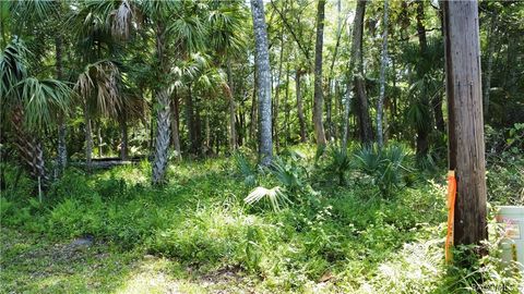 A home in Homosassa