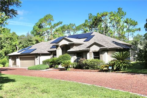 6133 W Ponderosa Place Beverly Hills FL 34465