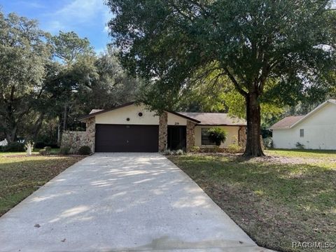 29 Sycamore Circle Homosassa FL 34446