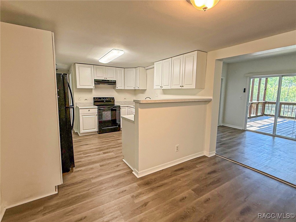 5500 S Withlapopka Drive, Floral City, New York image 9
