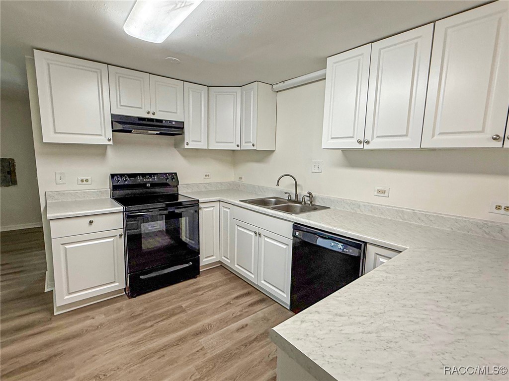 5500 S Withlapopka Drive, Floral City, New York image 7