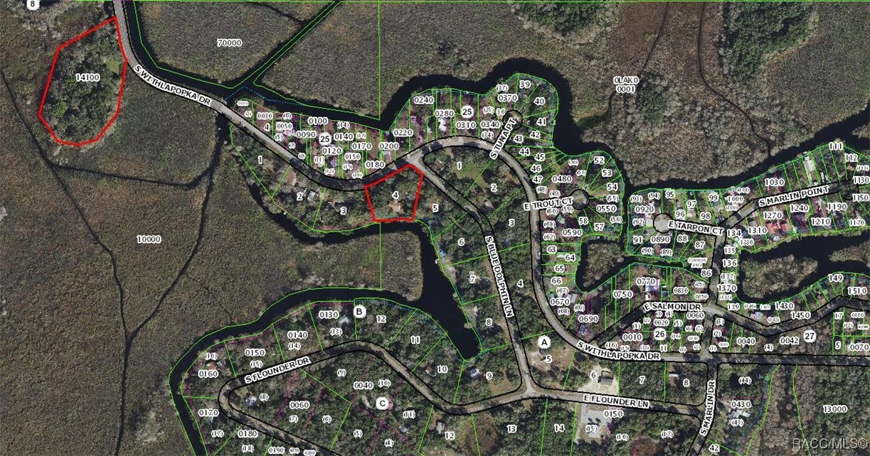 5500 S Withlapopka Drive, Floral City, New York image 39