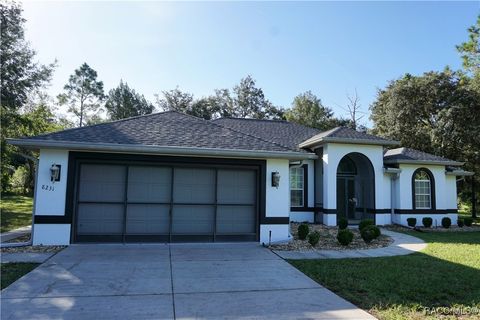 8231 N Upland Drive Citrus Springs FL 34434