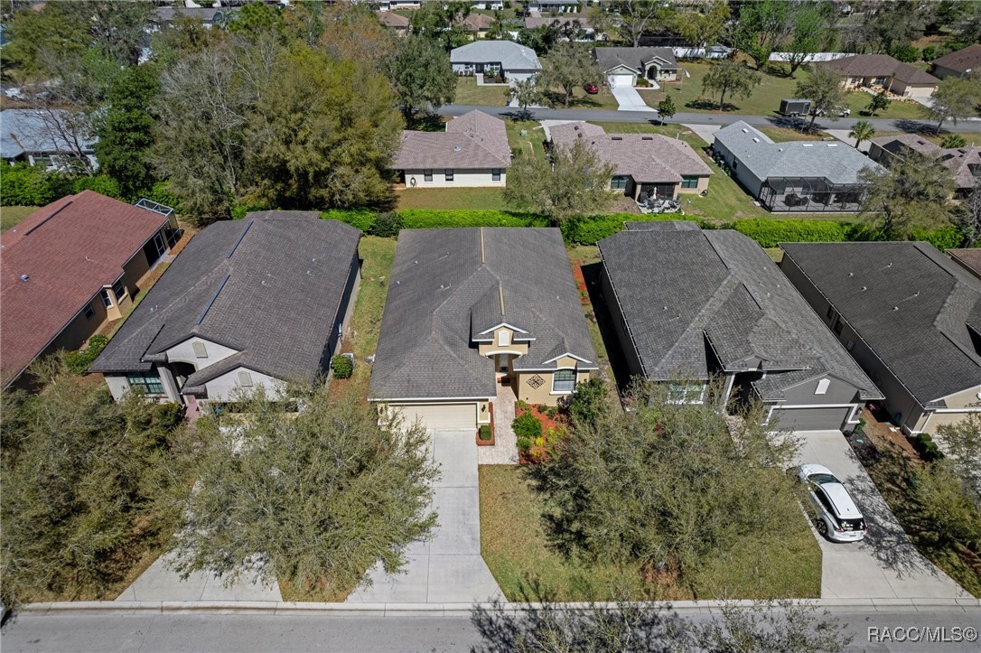 1749 W Caroline Path, Lecanto, Florida image 8