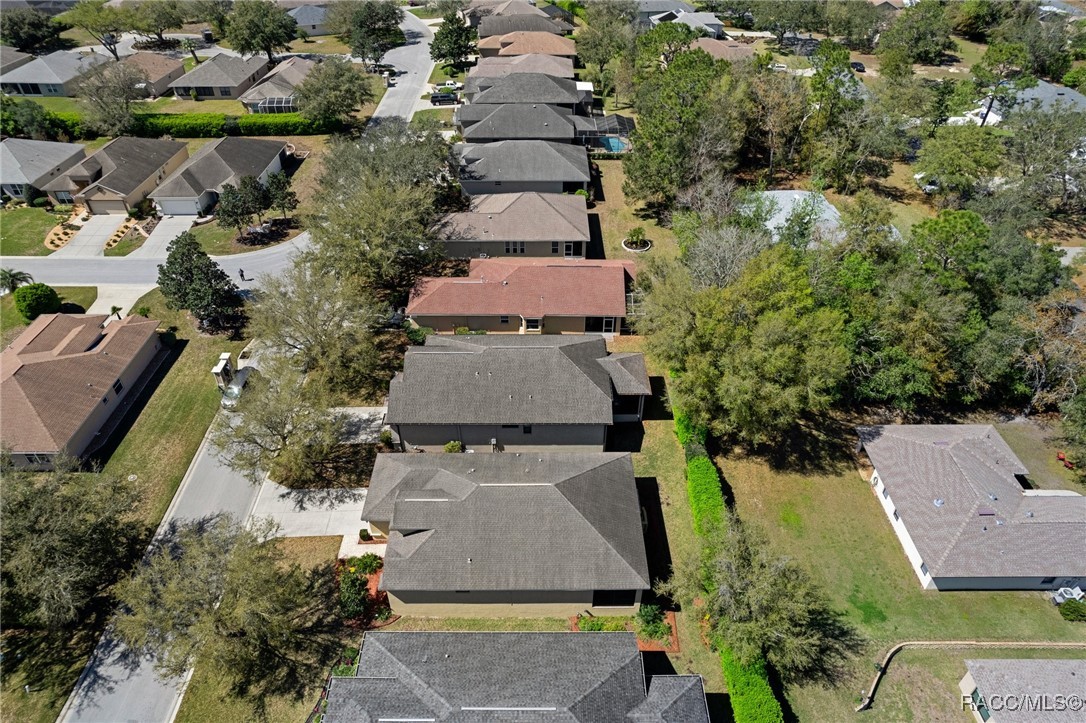 1749 W Caroline Path, Lecanto, Florida image 4